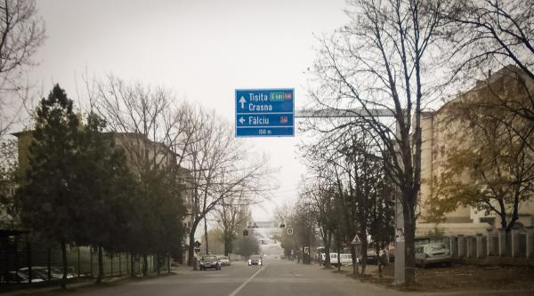 Loial Portofoliu portfolio 226