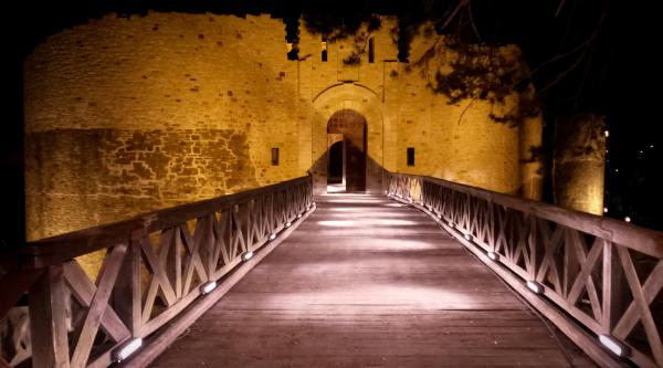Loial Portofoliu portfolio 358